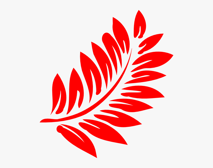 Fern Leaf Png, Transparent Png