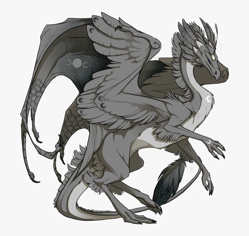 Yygkyze, HD Png Download