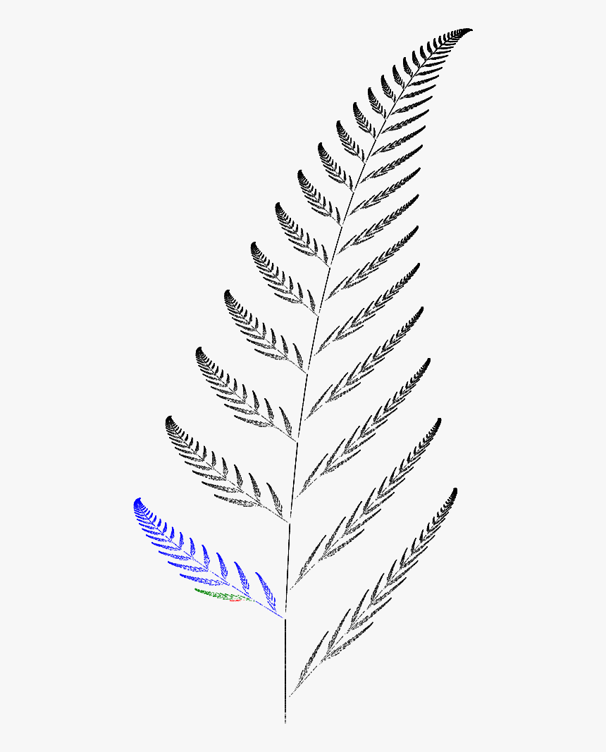 Barnsley Fern Funktion3, HD Png Download
