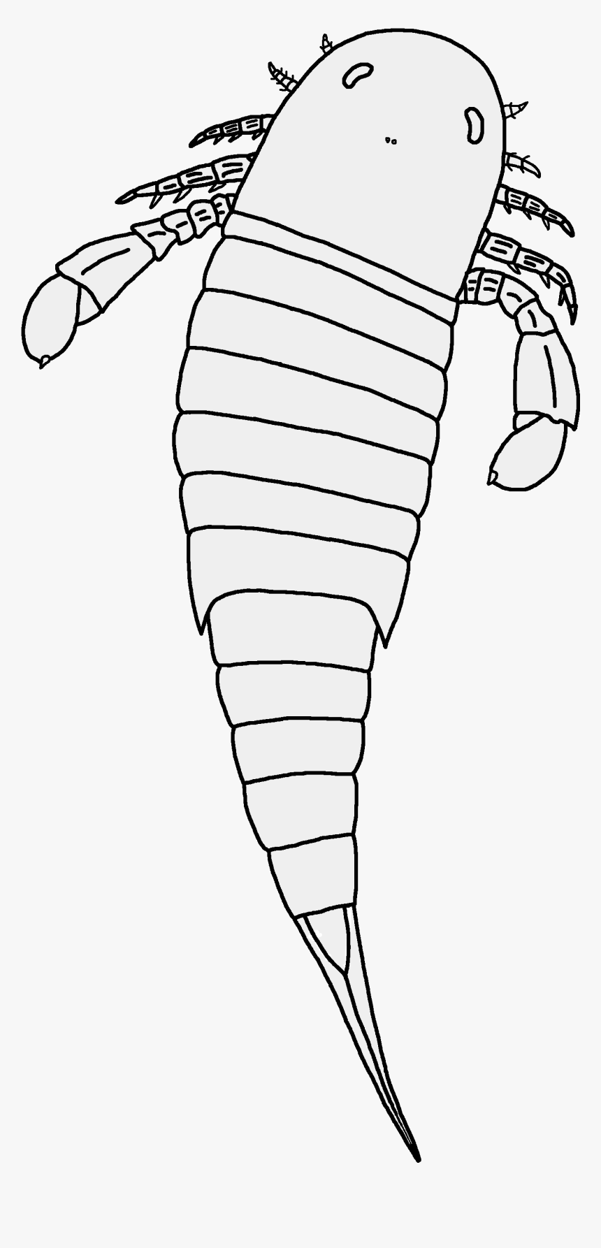 Nanahughmilleria Norvegica Restoration, HD Png Download