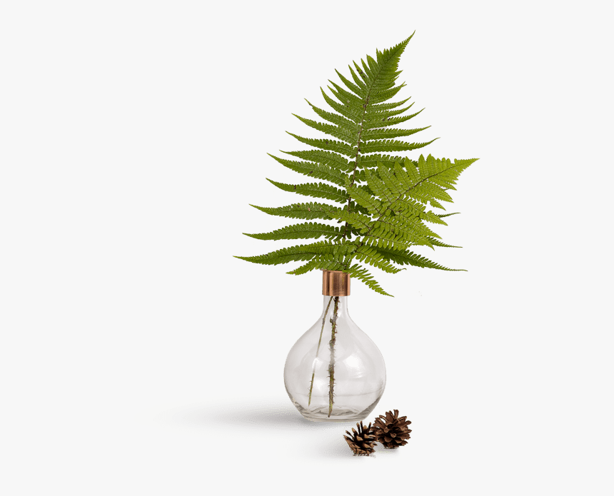 Thumbnail, HD Png Download
