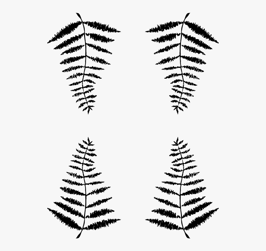Fern Leaf Png, Transparent Png