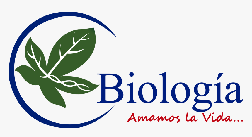 Dr Mary Castro Md Nederland Tx Family Medicine, HD Png Download