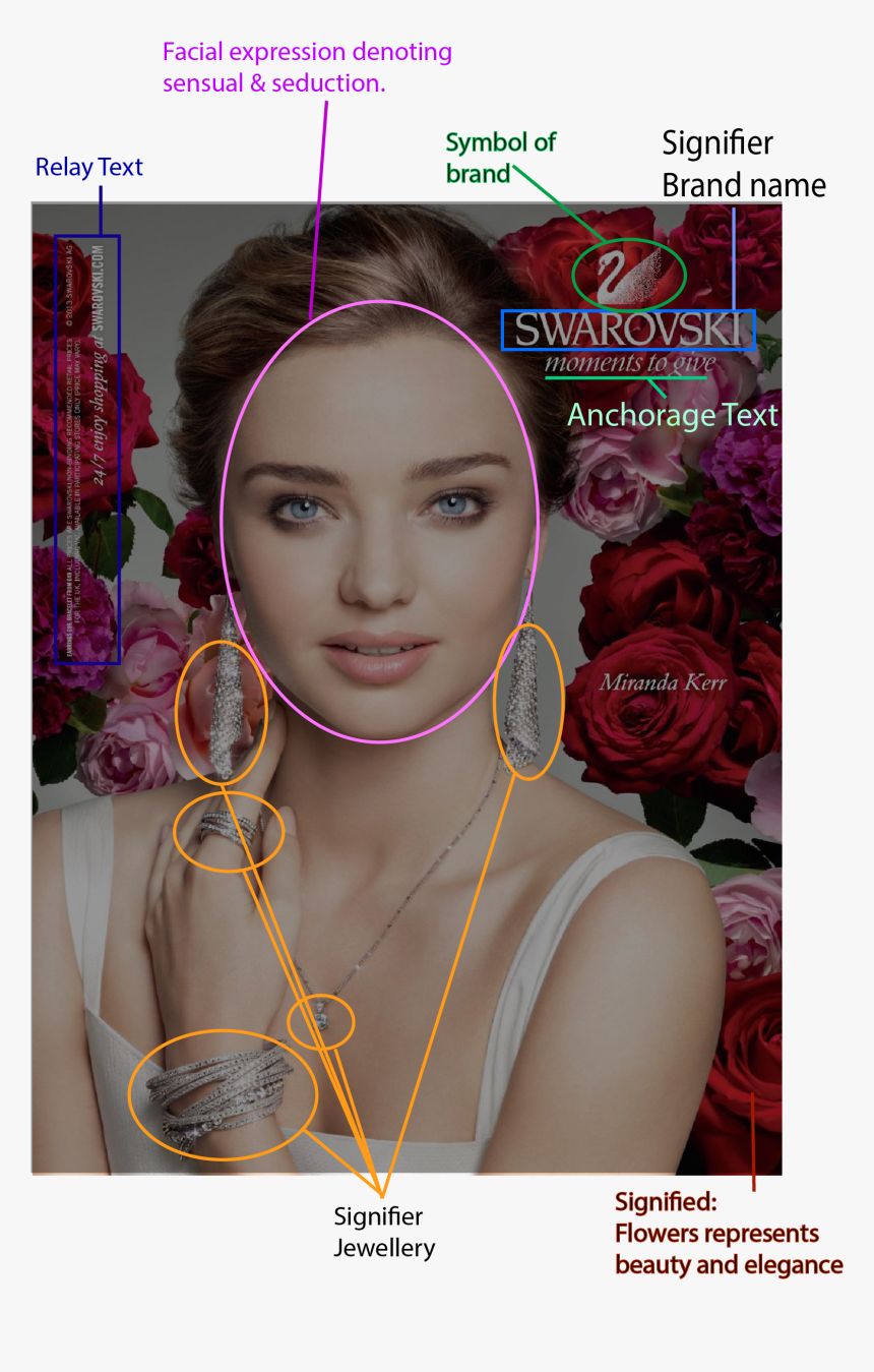 Week2 -, HD Png Download