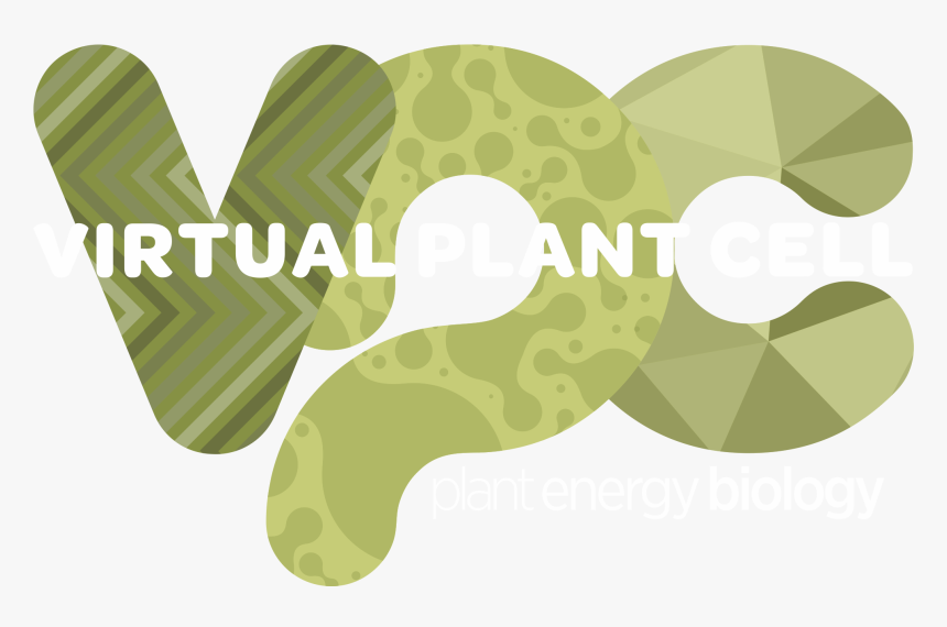 Plant Cell Png, Transparent Png