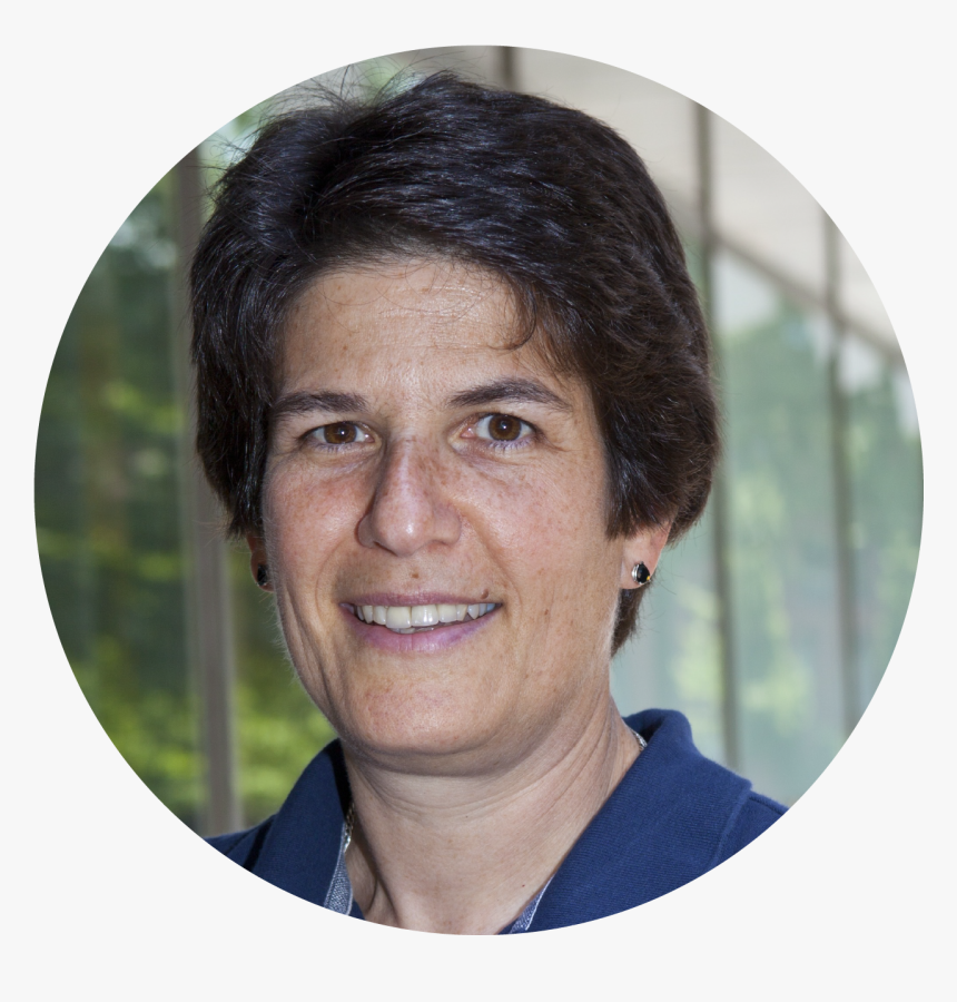 Ethan Klein Png, Transparent Png