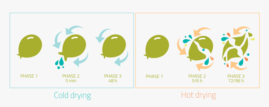 Graphic Design, HD Png Download