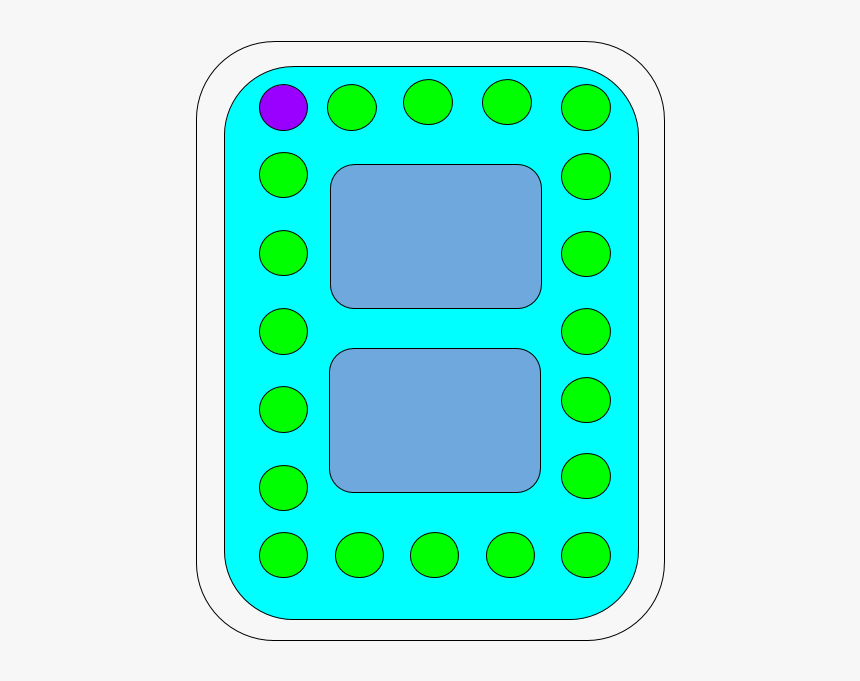 Plant Cell Png, Transparent Png