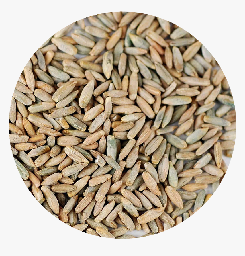 Portfolio Image, HD Png Download