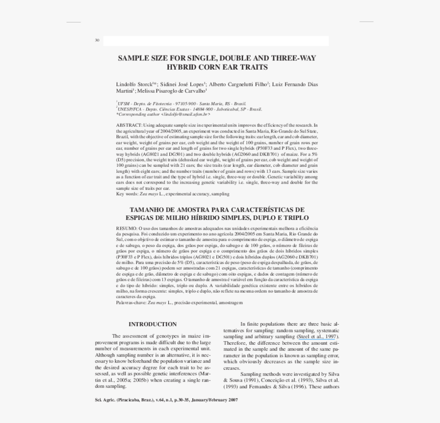 Espigas Png, Transparent Png