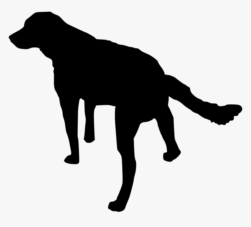 Hunting Clipart Black Lab, HD Png Download