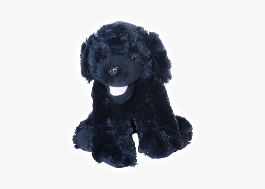 Black Lab Png, Transparent Png