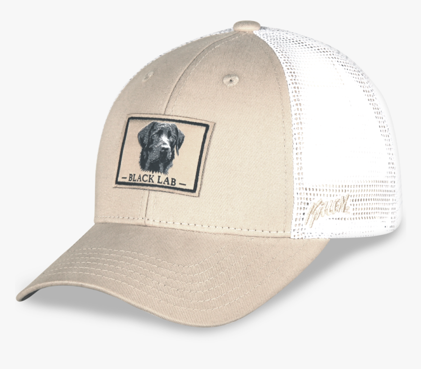 Black Lab Png, Transparent Png