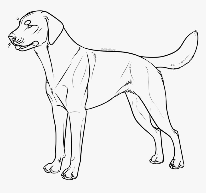 Black Lab Lineart, HD Png Download