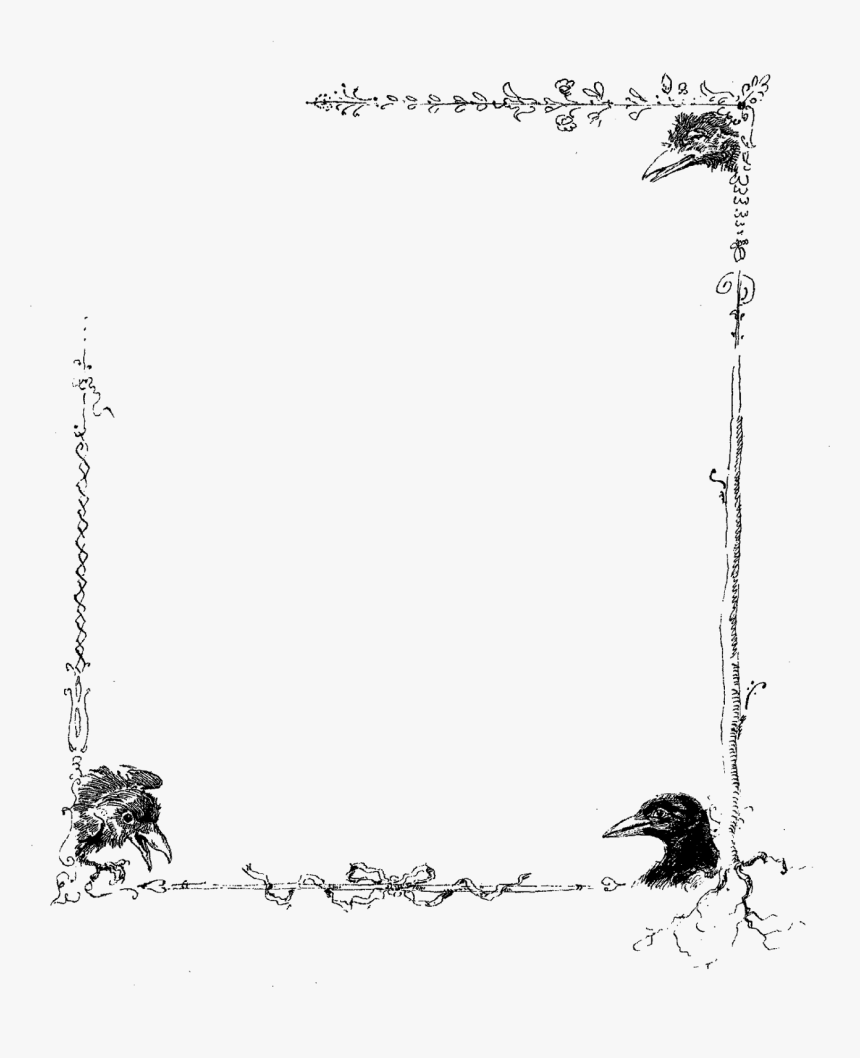 Bird Rook Picture Frames Clip Art, HD Png Download