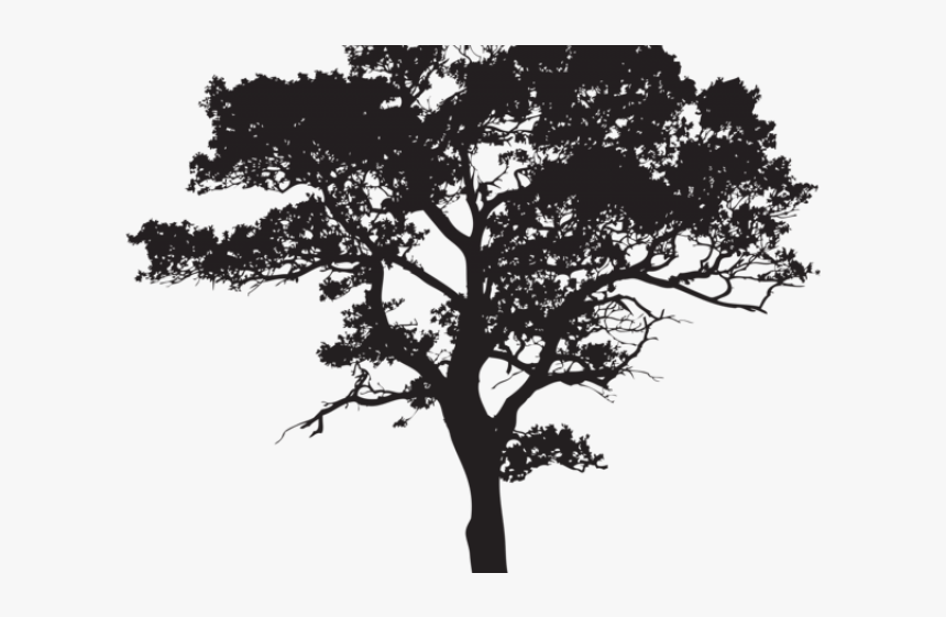 Shrub Silhouette Png, Transparent Png