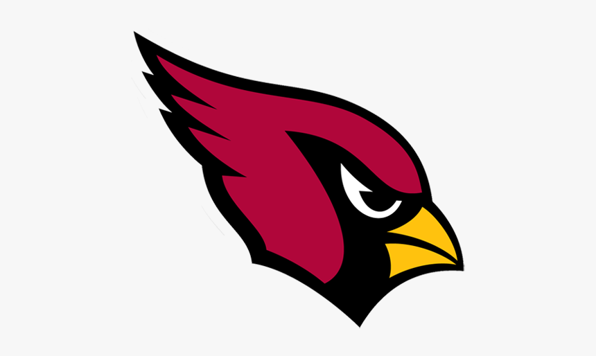 Tampa Bay Buccaneers Png, Transparent Png