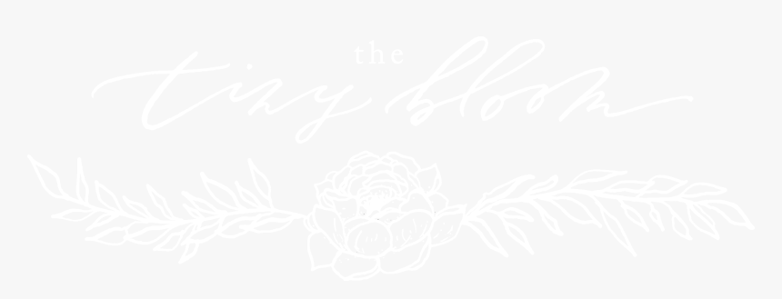 Thetinybloom - White, HD Png Download