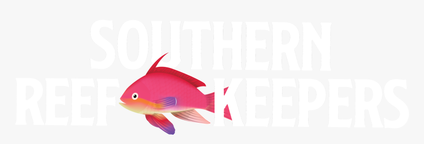 Southern Reef Keepers, HD Png Download