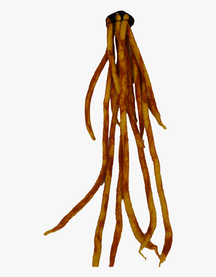 Dreadlock - Legume, HD Png Download