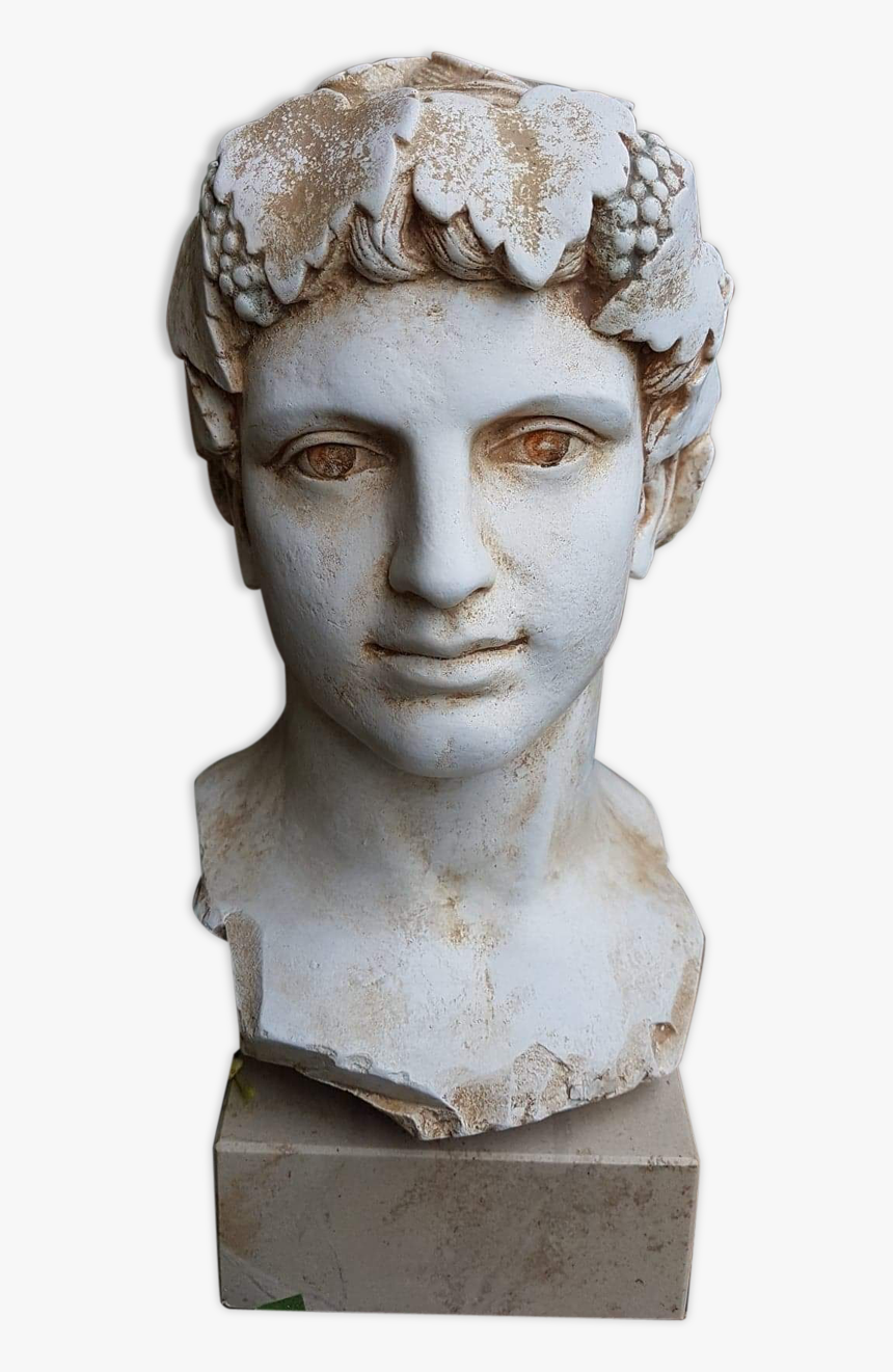 Bust Of Young Man Of Antiquity In Plaster On Marble, HD Png Download