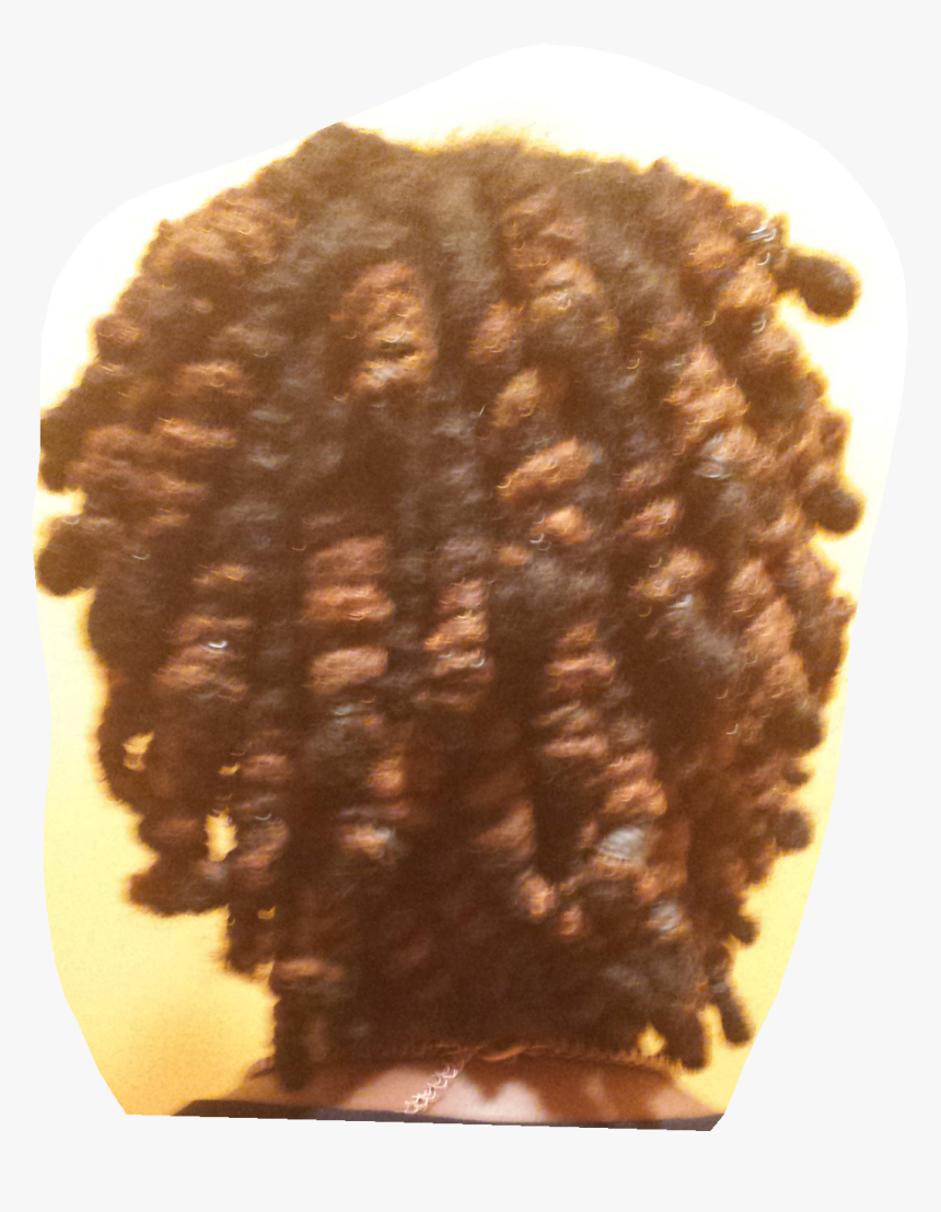 Womens Barrell Twists Dreadlocs Style, HD Png Download