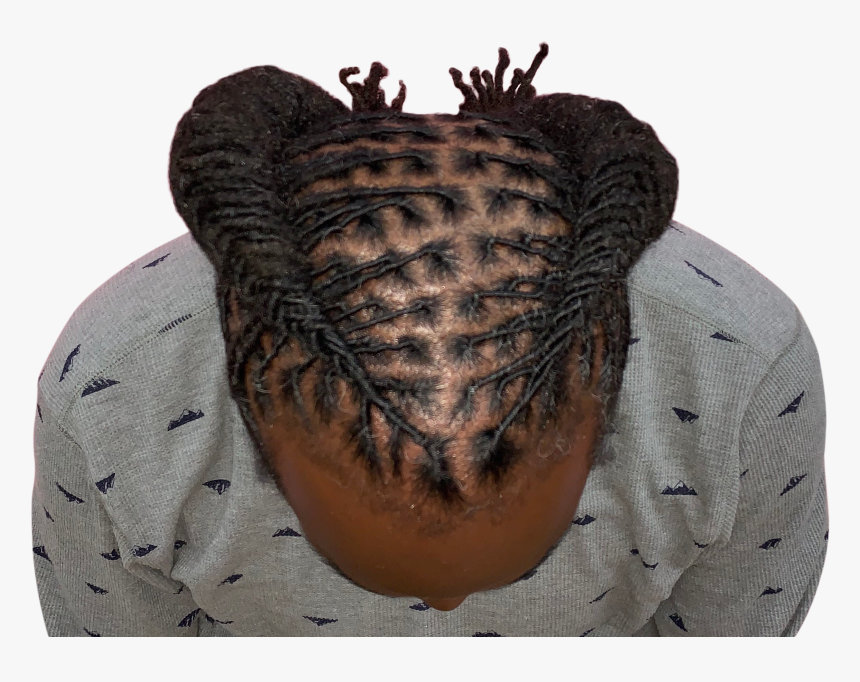 Dreadlock Png, Transparent Png