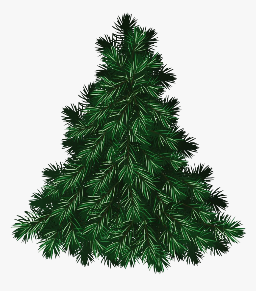 Christmas Pine Tree Png Free Download, Transparent Png