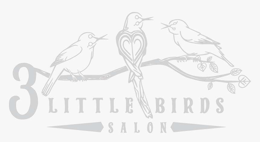 Logo, HD Png Download