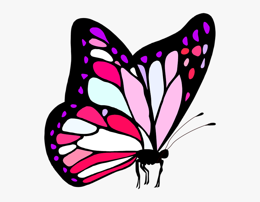 Butterfly, Pink, Cute, Girl, Feminine, Nature, Insect, HD Png Download