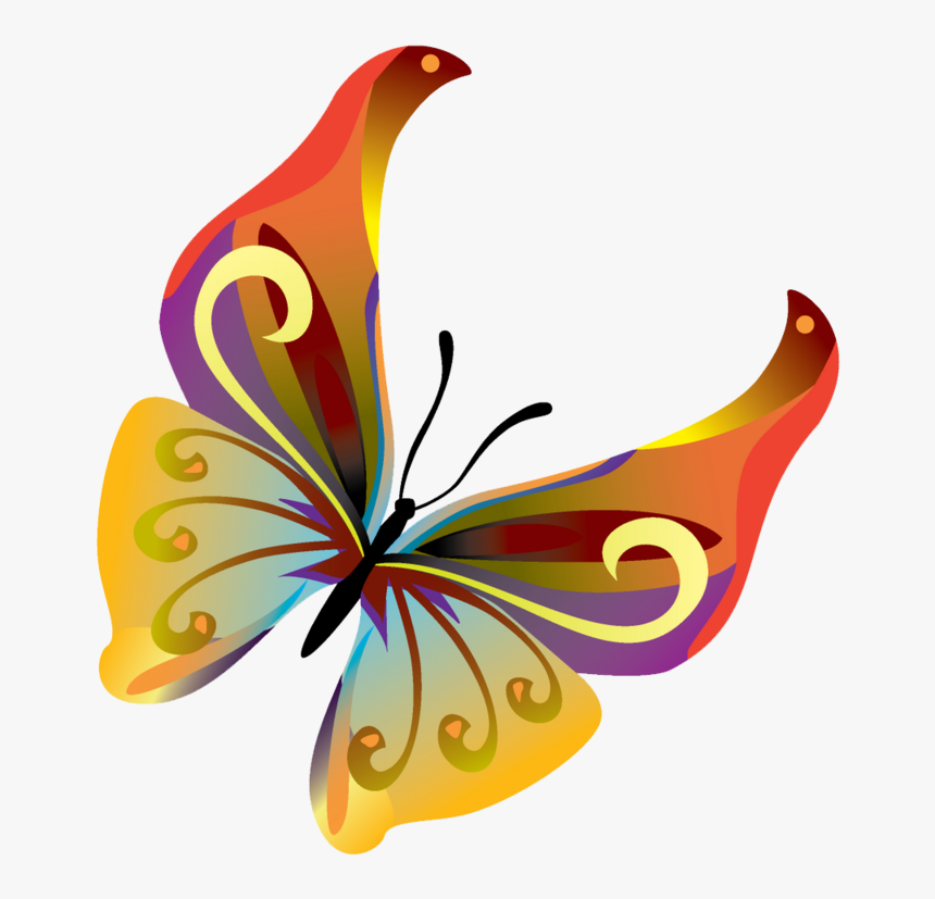 Butterflies Vector Png Transparent Image, Png Download