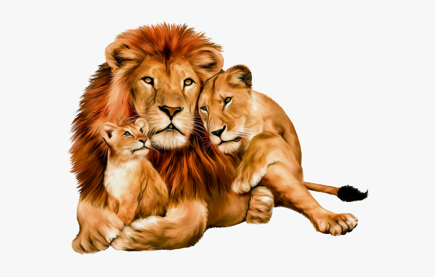 Animals Clipart Png,cartoon Animals Png,cute Animal, Transparent Png