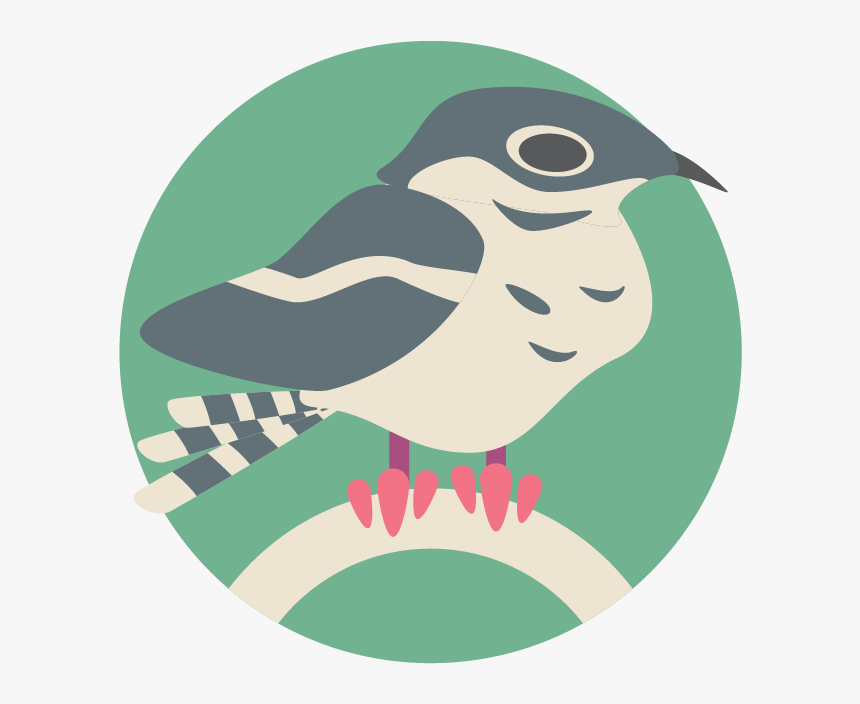 Nightjar, HD Png Download