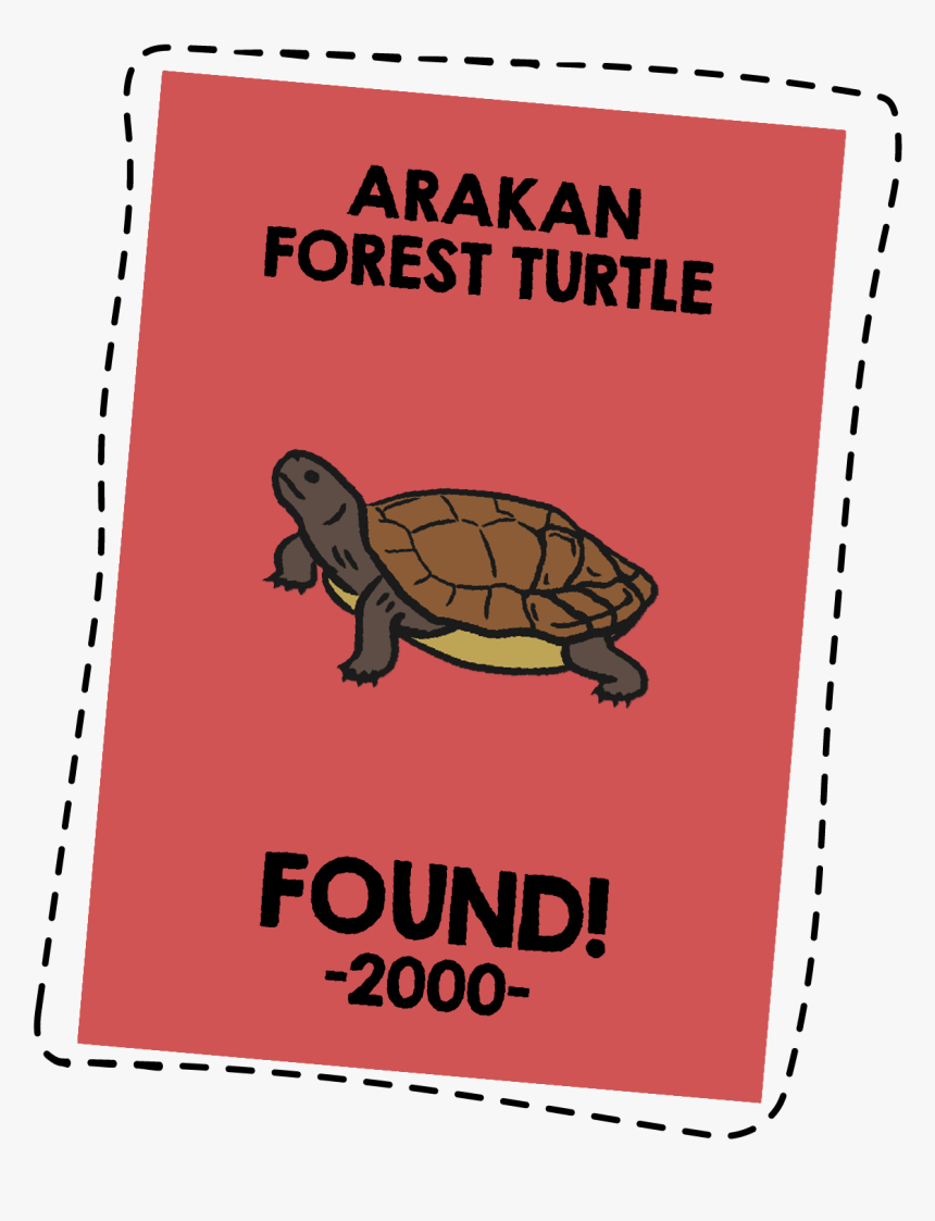 Forest Animals Png, Transparent Png