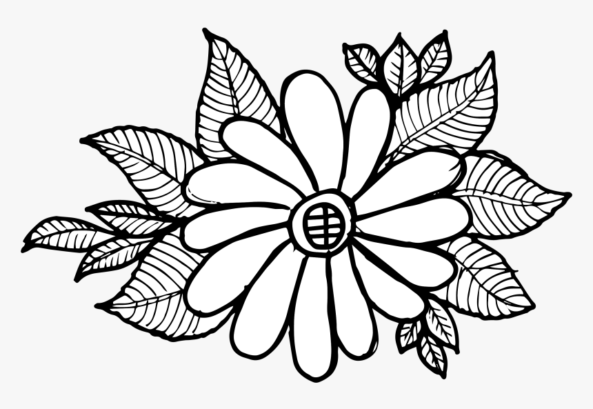 White Petals Png, Transparent Png