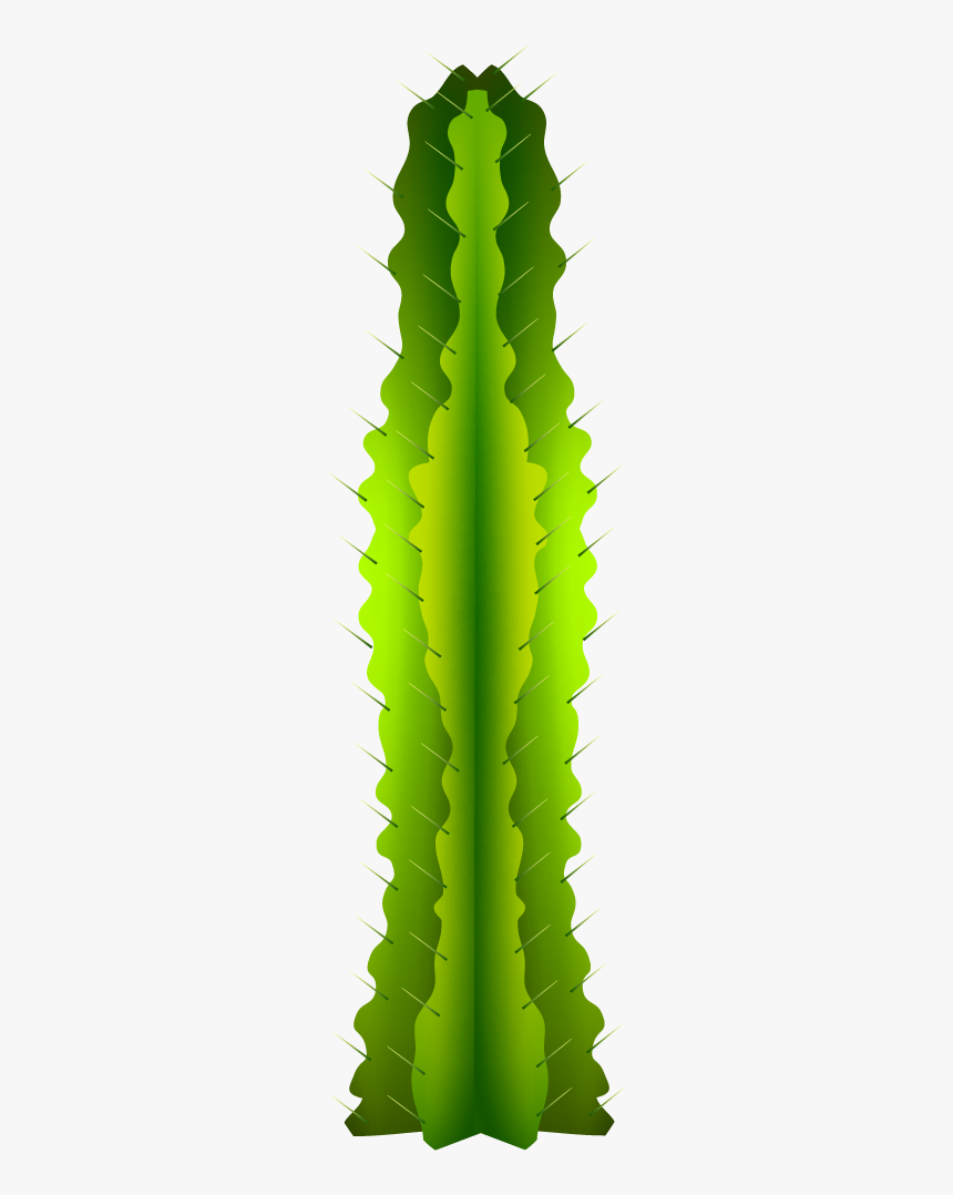Mexican Cactus Png, Transparent Png