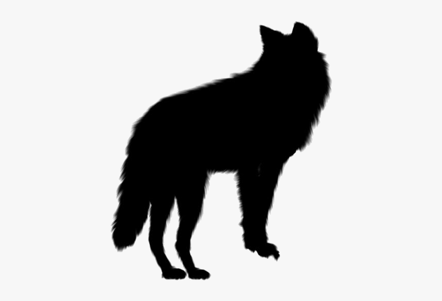 Gray Wolf Png, Transparent Gray Wolf Vector, Png Download