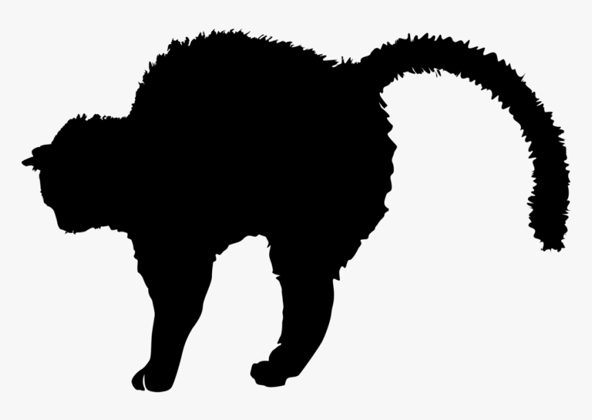 Transparent Black Cat Clip Art, HD Png Download