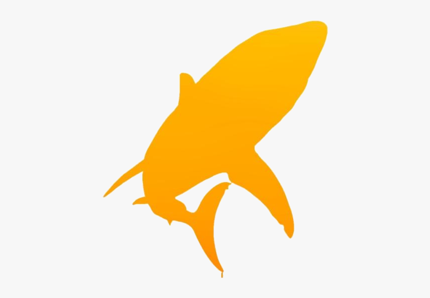 Transparent Colorful Shark Clipart, HD Png Download