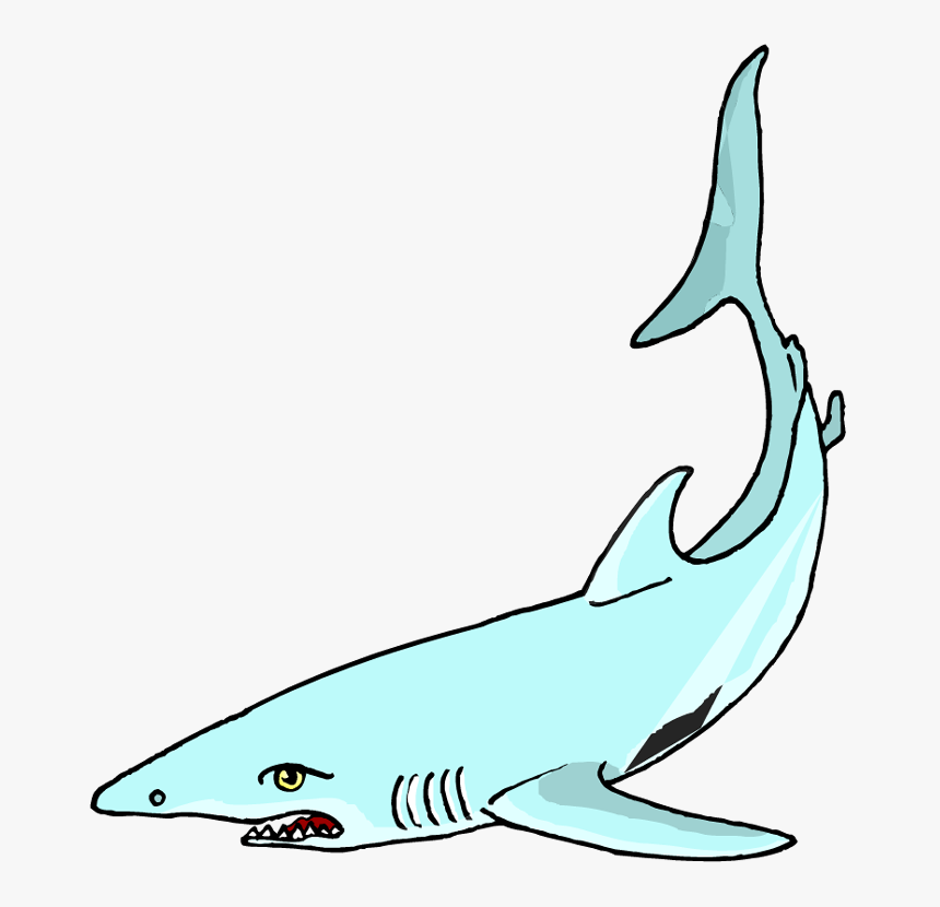 Hammerhead Clip Art Vector, HD Png Download
