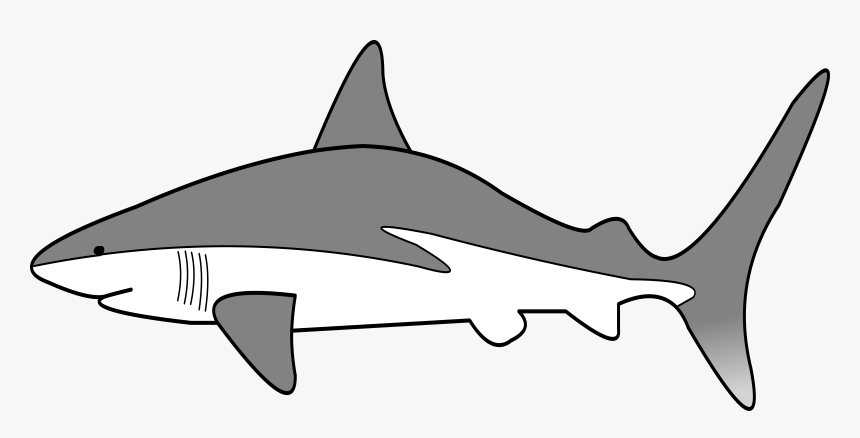 Shark Clipart Simple, HD Png Download