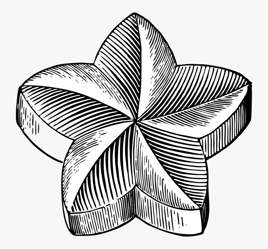 Star, Flower, Shape, Design, Decoration, HD Png Download