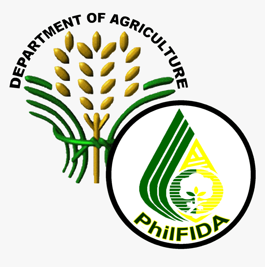 Philippine Sun Png, Transparent Png