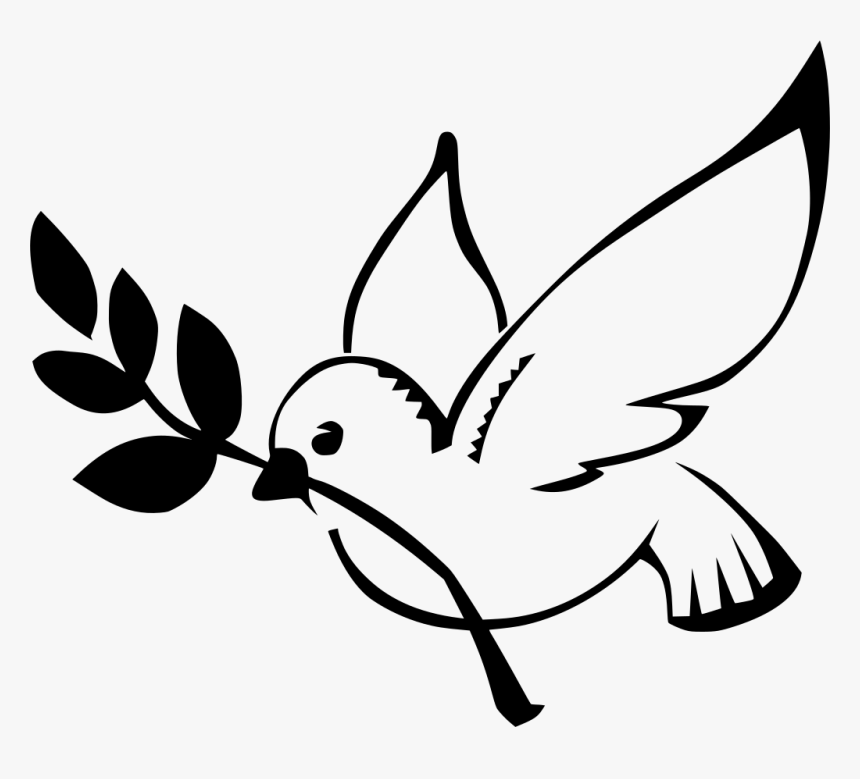 Dove With Olive Branch Png, Transparent Png