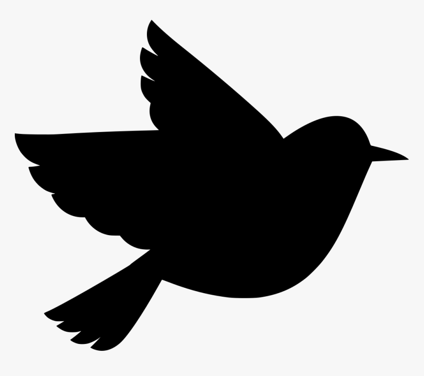 Dove With Olive Branch Png, Transparent Png