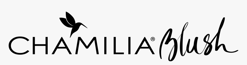 Dove With Olive Branch Png, Transparent Png