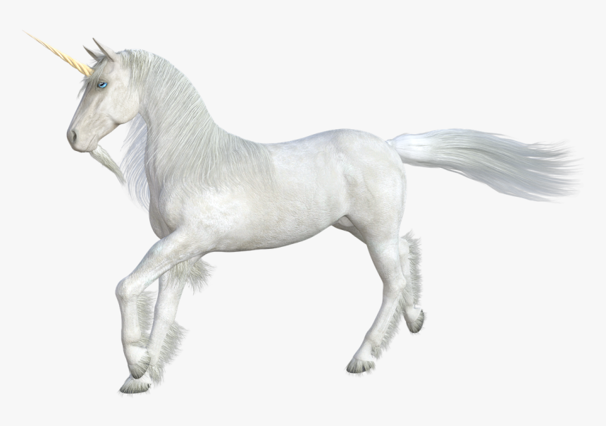 Unicorn, Horse, Mythical Creatures, Horn, Fairy Tales, HD Png Download