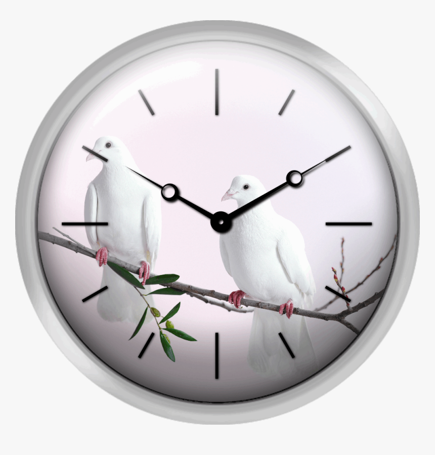 Dove With Olive Branch Png, Transparent Png
