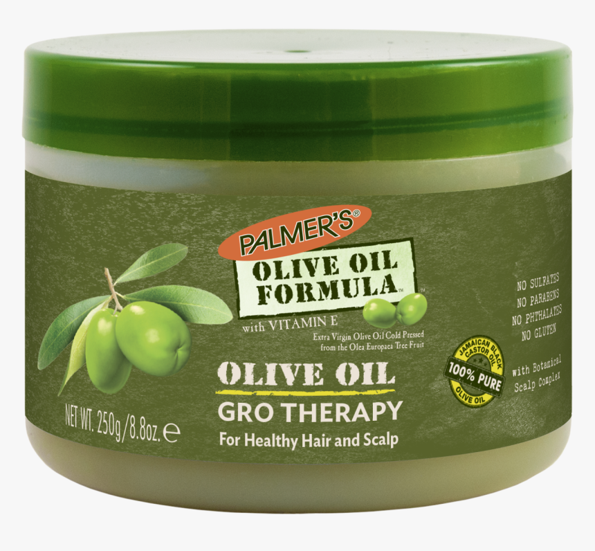 Dove With Olive Branch Png, Transparent Png