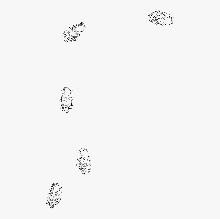Bear Prints, HD Png Download